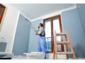 best-premium-painting-services-in-muhammad-bin-zayed-abu-dhabi-small-3